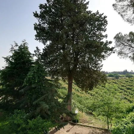 Сasa de vacaciones Casa Angela