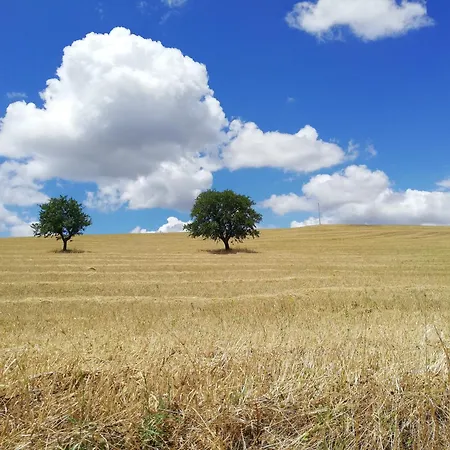 بيت للعطل Casa Angela