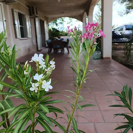 Casa Angela Σπίτι διακοπών