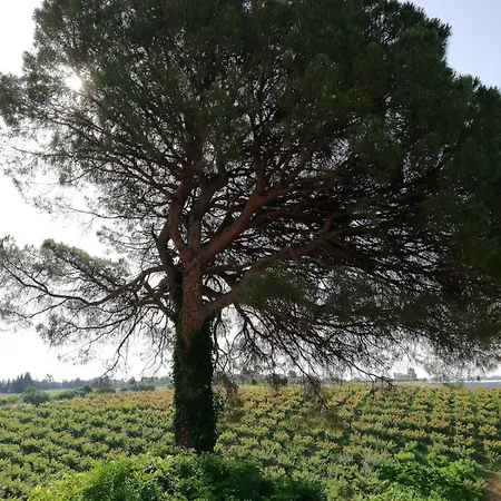 Casa Angela بيت للعطل *